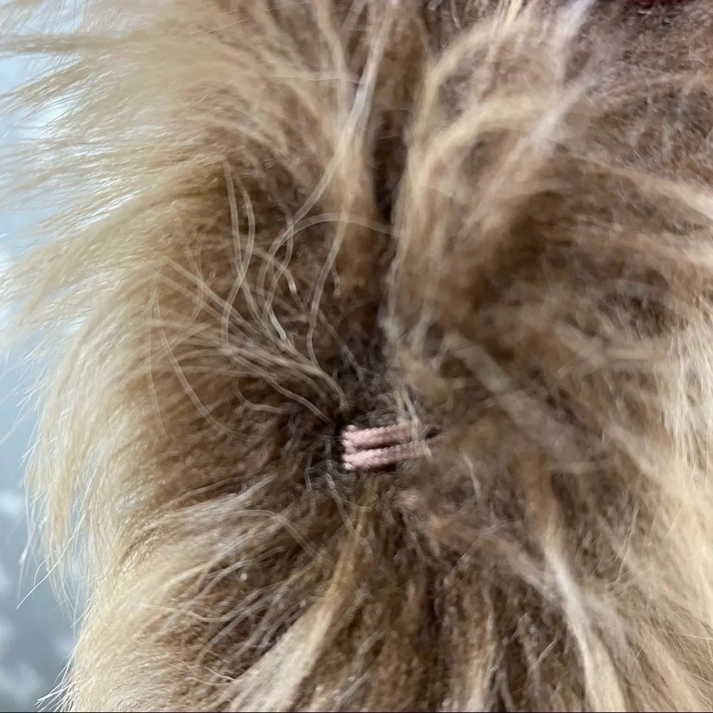 Ralph Lauren Fall/Winter '11 Blonde Lamb Shearling Vest - Picture 5 of 16